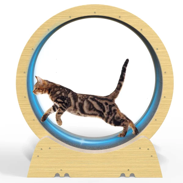 35 Inch Cat Exercise Wheel