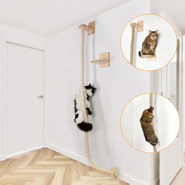 Climbing Rope With Shelf Wall Mounted