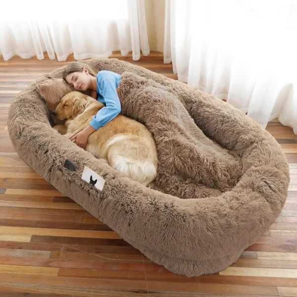 Orthopedic Large Dog/Human Bed