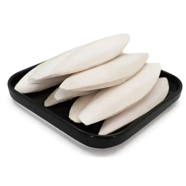 10pcs Cuttlebone