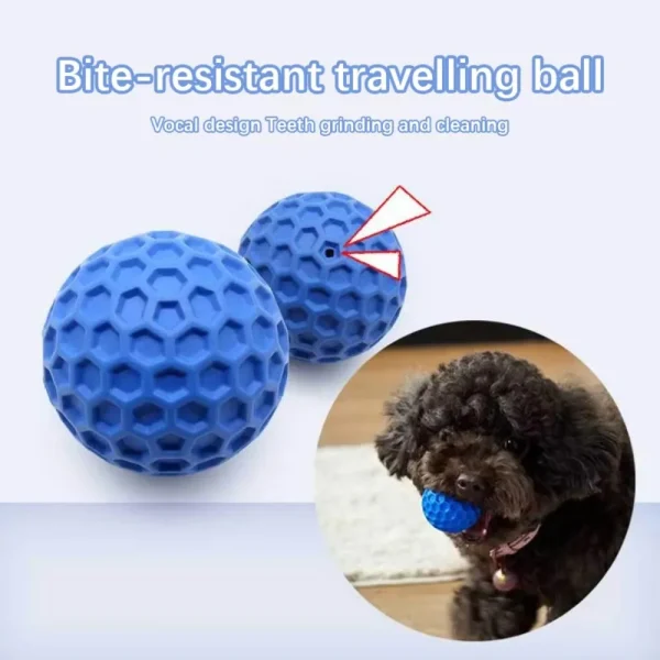 Bite Resistant Interactive Ball